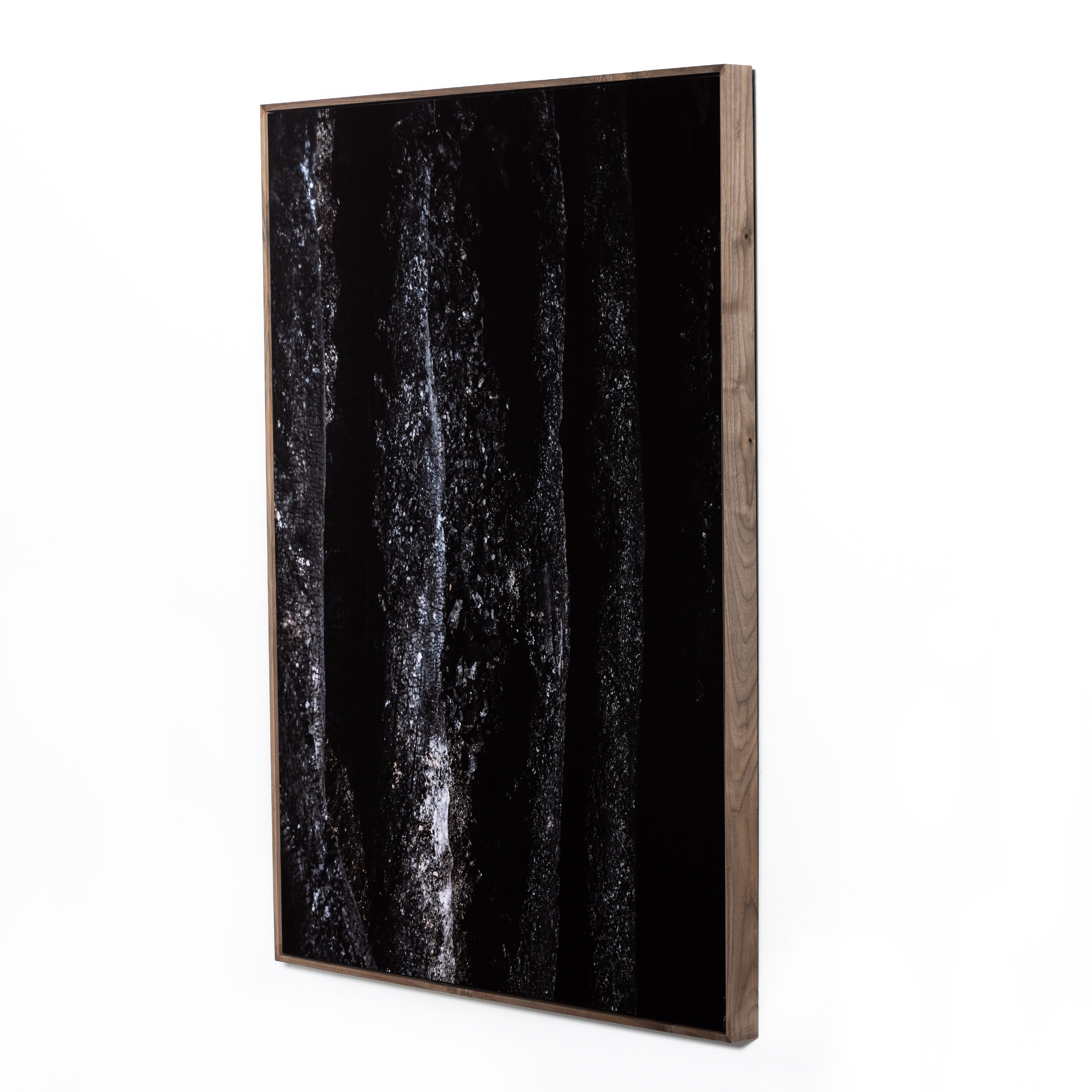 Four Hands Art Studio Char VIII - Picture Frame Photograph | Wayfair